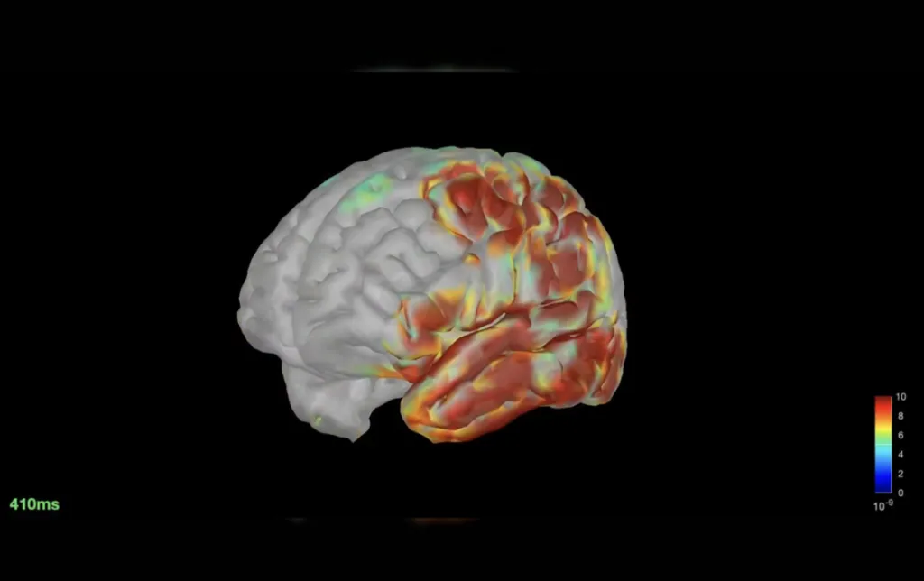 Brain Cognitive Mapping