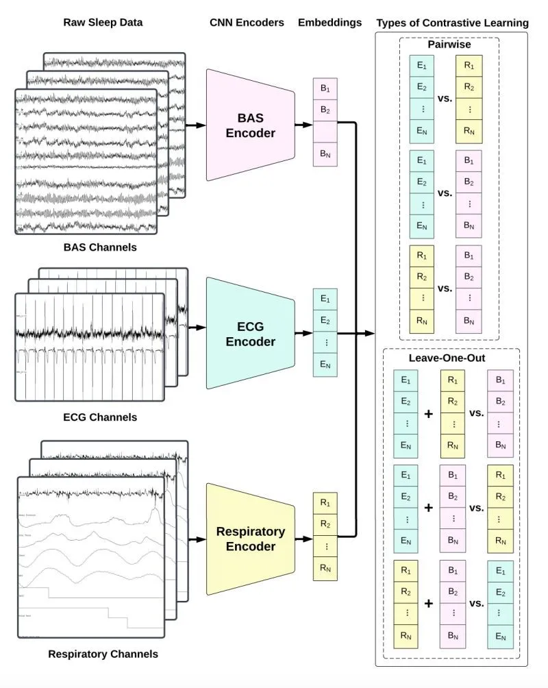 Neural Signal Processing Architecture